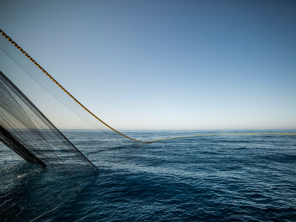 Desde 2003 hemos reducido nuestra capacidad pesquera, primando la eficiencia y la menor huella de carbono de nuestros barcos, y apostando por la ultracongelación a bordo.