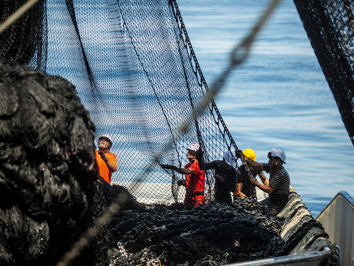 Operamos en el Océano Índico dentro de la IOTC (Comisión del Atún del Océano Índico), con un 100% de cobertura de observadores independientes a bordo, que auditan la labor de nuestros profesionales de la mar.

