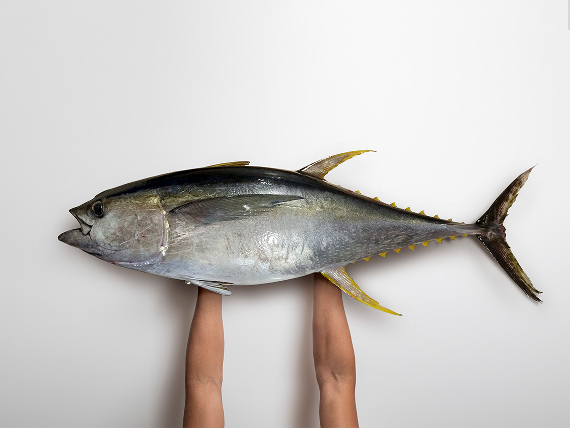 Atún de máxima calidad
