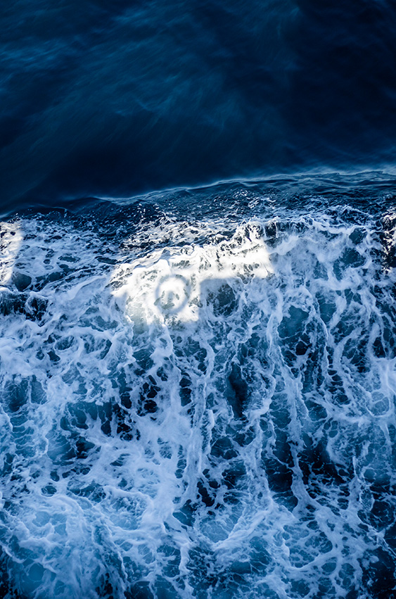 Pioneros en ultracongelación