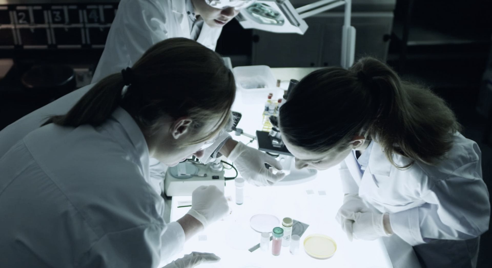 EXPERTOS ATUNEROS DESDE
1967